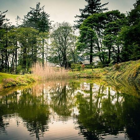Gellifawr Woodland Retreat Hotel Pontfaen Buitenkant foto