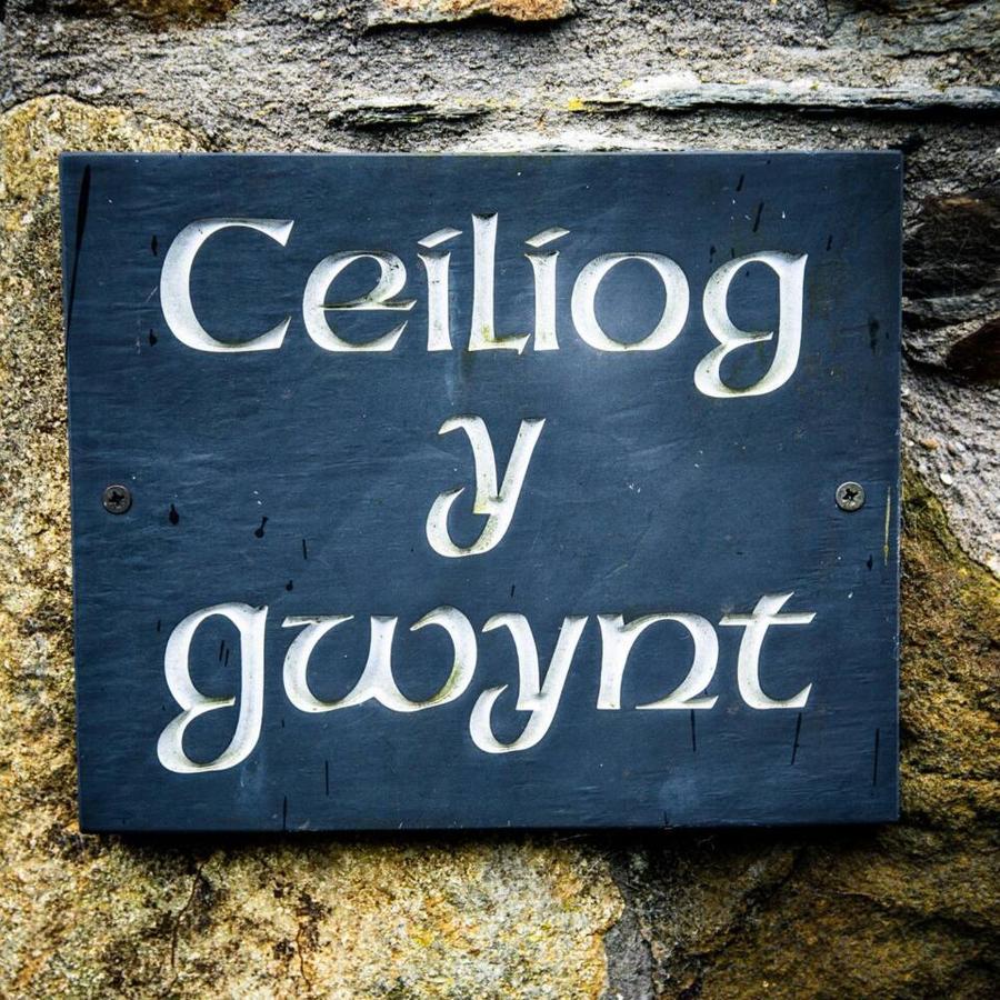 Gellifawr Woodland Retreat Hotel Pontfaen Buitenkant foto